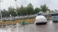 Bama Ecological Hotel (Liaocheng West Bus Station Railway Station) - Park Yeri