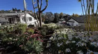 Lijiang Hourglass and Jun View Homestay Hotels in Beimenpo