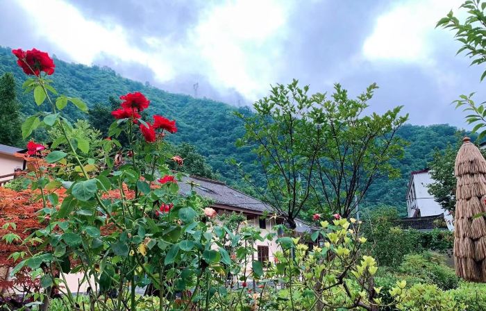 Lishui Dongpo Homestay