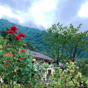 Lishui Dongpo Homestay