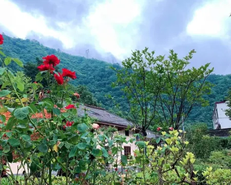 Lishui Dongpo Homestay Hoteles en Condado de Zhashui