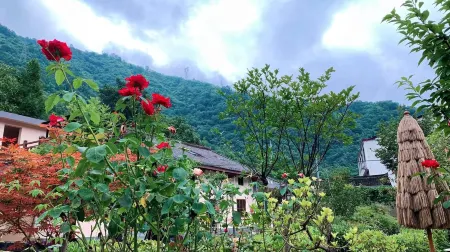 Lishui Dongpo Homestay Отели рядом с достопримечательностью «First Draftage of Zhashui Canyon»