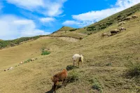 Orange Hotel Lanzhou West Railway Station