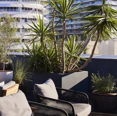 The Aster Отели рядом с достопримечательностью «Уотеруорлд»