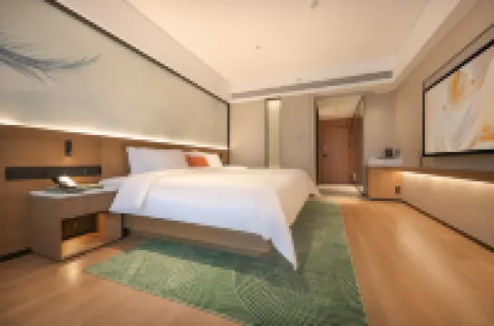 萬朵飯店（百色田陽店）