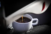 スター コンベンション ホテル - 朝食