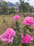 Huangyao Flowers Ocean Hotel Hotels in Zhaoping