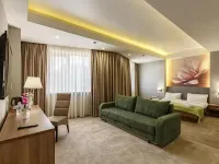 瑞尼海爾斯酒店 鄰近阿拉木圖塔的酒店