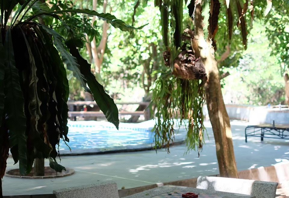 바안 부사바 야간 조경