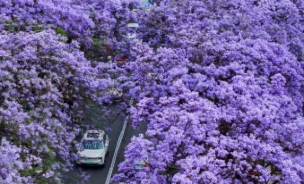 Howard Johnson Flower City Hotel Kunming