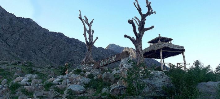 Helan Mountain Rock Art Ancient Village Ancient Forest Homestay Hotels in Helan County