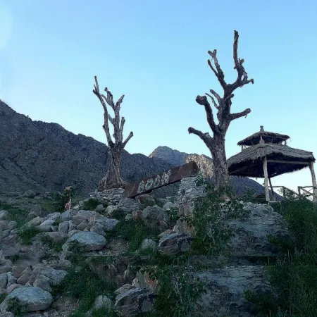 Helan Mountain Rock Art Ancient Village Ancient Forest Homestay