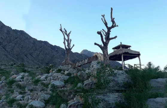 賀蘭山巖畫古村古樹林民宿