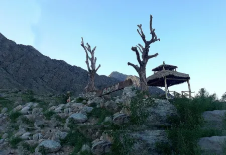 Helan Mountain Rock Art Ancient Village Ancient Forest Homestay