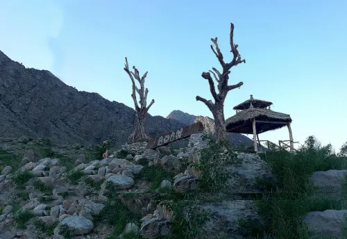 Helan Mountain Rock Art Ancient Village Ancient Forest Homestay فنادق في خه لان