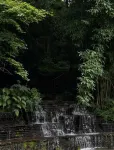 ウィーン インターナショナルホテル（安順古城顧府街） - マウンテンビュー
