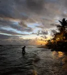 Nomads Hideaway Near Matara Railway Station
