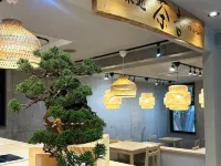 SHIKI ART HOTEL YUFU