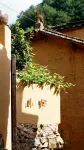 Mountain Wild Homestay (Yangjiatang Branch) - เปิดใหม่
