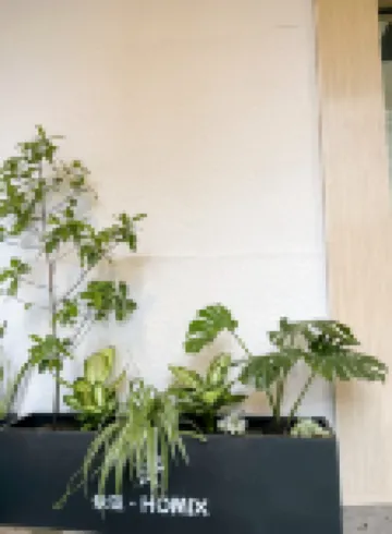 HOMIX Hotel Hotels in der Nähe von Botanische Gärten von Singapur