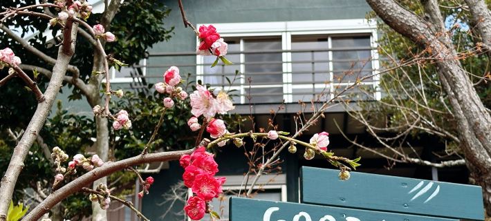 GOOD WIND Hotels in Ito
