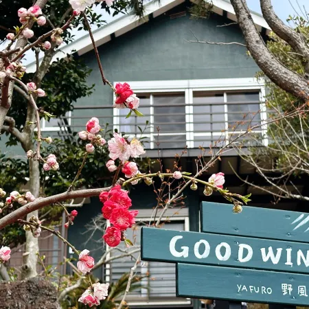 GOOD WIND