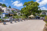Cloud  Villa Homestay cafe - pet friendly