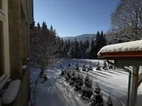 Maiers Hotel - Mountain view