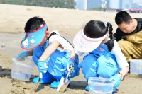 International Conference Center Hotel Xiamen · China - Beach