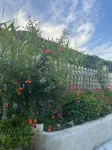 Xingchen Homestay