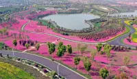 Huyue Hotel (Mile Huquan Ecological Park)