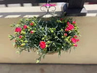 故里草舎（山大哈工大金海灘海水浴場） College Physics Lab of Optoelectronics Department， Harbin Institute of Technology (Weihai)周辺のホテル