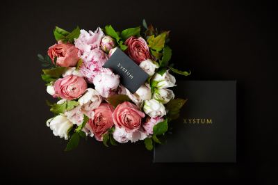 その他 ザ・プラザ・ソウル、オートグラフ コレクションの写真