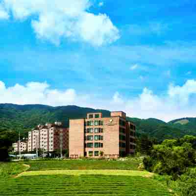 위드랜드 호텔 평창 Hotel Exterior