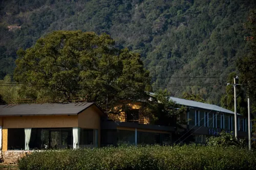 Wuyishan Buwenshanju (National Park No. 1 Scenic Road Branch) Hotels in Wuyishan