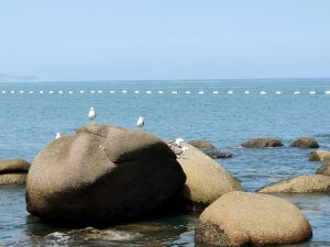 青島桂生緣農家宴