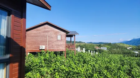 Xiaoyin Sanghai Boutique Homestay