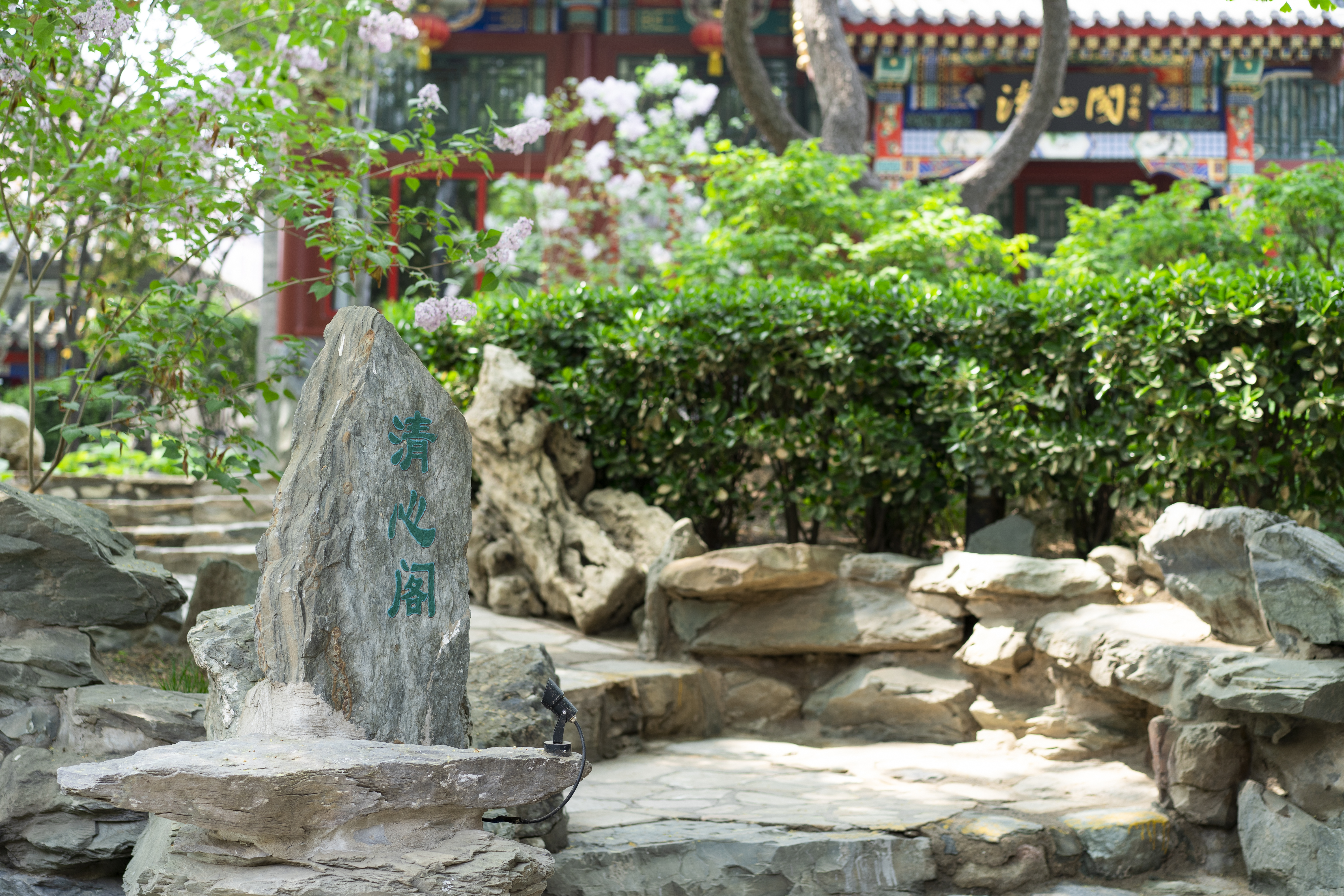 Beijing Jintai Hotel Bamboo Garden Branch Over view