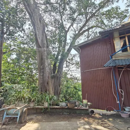 Meng Hai Yi Ke Shu Guesthouse