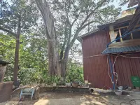 Meng Hai Yi Ke Shu Guesthouse - Mountain view