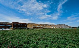 Kekesuli Flower Sea Homestay