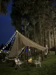 Pure Garden - bar