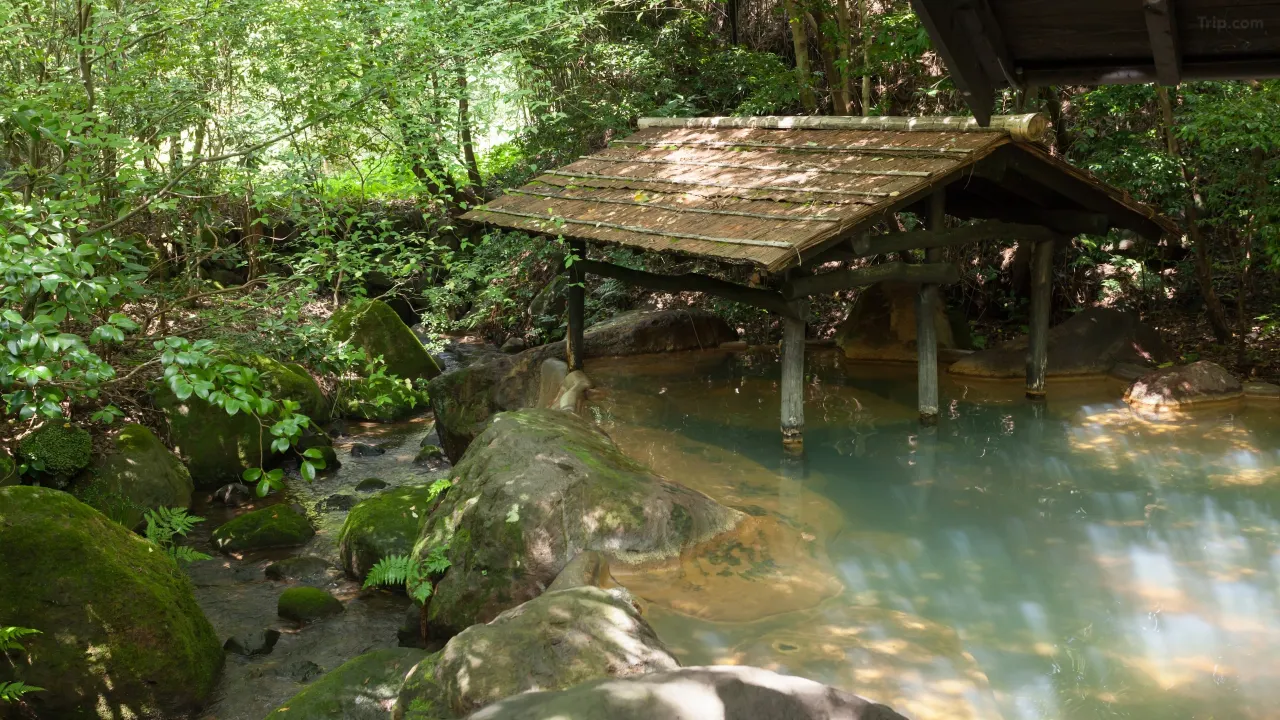 일본 소도시 항공권