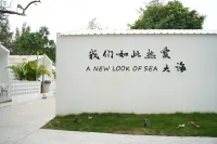 東興市萬尾金灘去浪民宿 蘭揚生物海洋世界附近的飯店