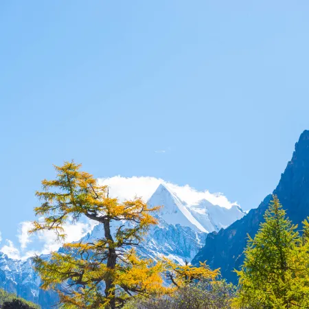 Daocheng ACE Holiday Hotel (Daocheng Yading Scenic Area Branch)