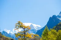 Daocheng ACE Holiday Hotel (Daocheng Yading Scenic Area Branch) - con vistas a la montaña
