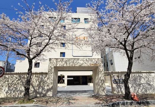 데이지호텔 인테리어