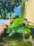 Tràng An Sunny River Homestay