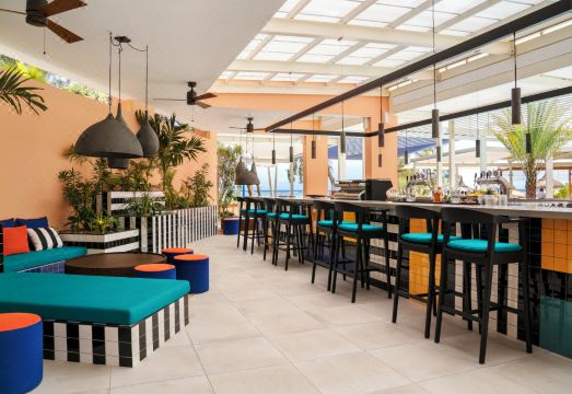 솔트 오브 팔마