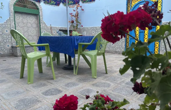 帶有海景和山景的房屋